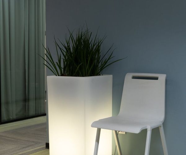 A clean, minimalist corner of a room with a yoga mat and a plant.